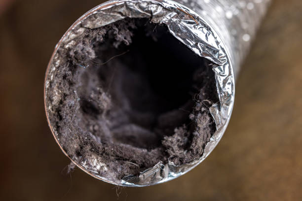 Best Best Air Duct Cleaning Near Me  in Country Knolls, NY